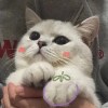 sugarr