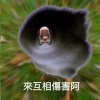 Lune  Chang