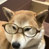 茗茗