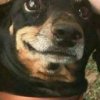 Mi
