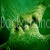 misty_cake_ws