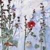 Romanza_202503