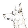 NewSingledog