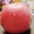 misty_rain_5vz