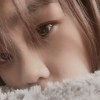 知月