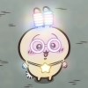 Usagi