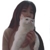 Wendy Feng