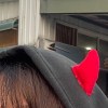 女眉