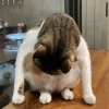 員力