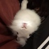 mo_yuu927