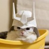 mochimaru