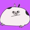 Molly He