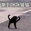 虎兒