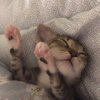 而光阴风平
