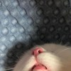 ㄇㄇ