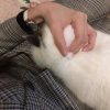 mraicez