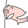 啊菠萝
