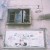 muddy_mouse_gve