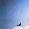 来自☁️中的F先生