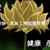 秋