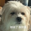 我是娜娜呀
