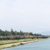 李岱庭
