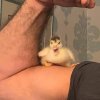 暖暖