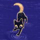 nightcat_band