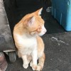 婗(｡ì _ í｡)