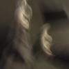 LNQ