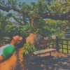 元元