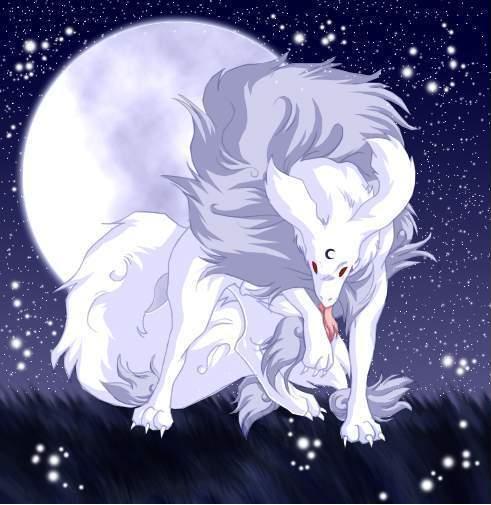 白狼| StreetVoice 街聲- 最潮音樂社群