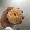 en_zhong