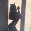 noah_pandra