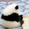 只想陪着困难发呆