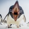 NOSEMAD！