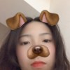樹懶汪汪汪