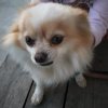 milule
