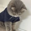 迷墙。