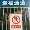 萬能青年