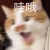 ohplayboy0