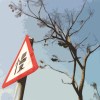 OYN 歐歪恩