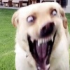 ojmm3i