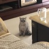 街角的硬币