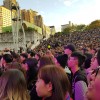 不要哈密瓜