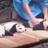 一心人