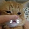 oohkiki