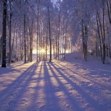 瑞士捲ˇ再錄製