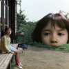 软糖声明
