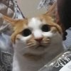 奔波儿灞会打鼓